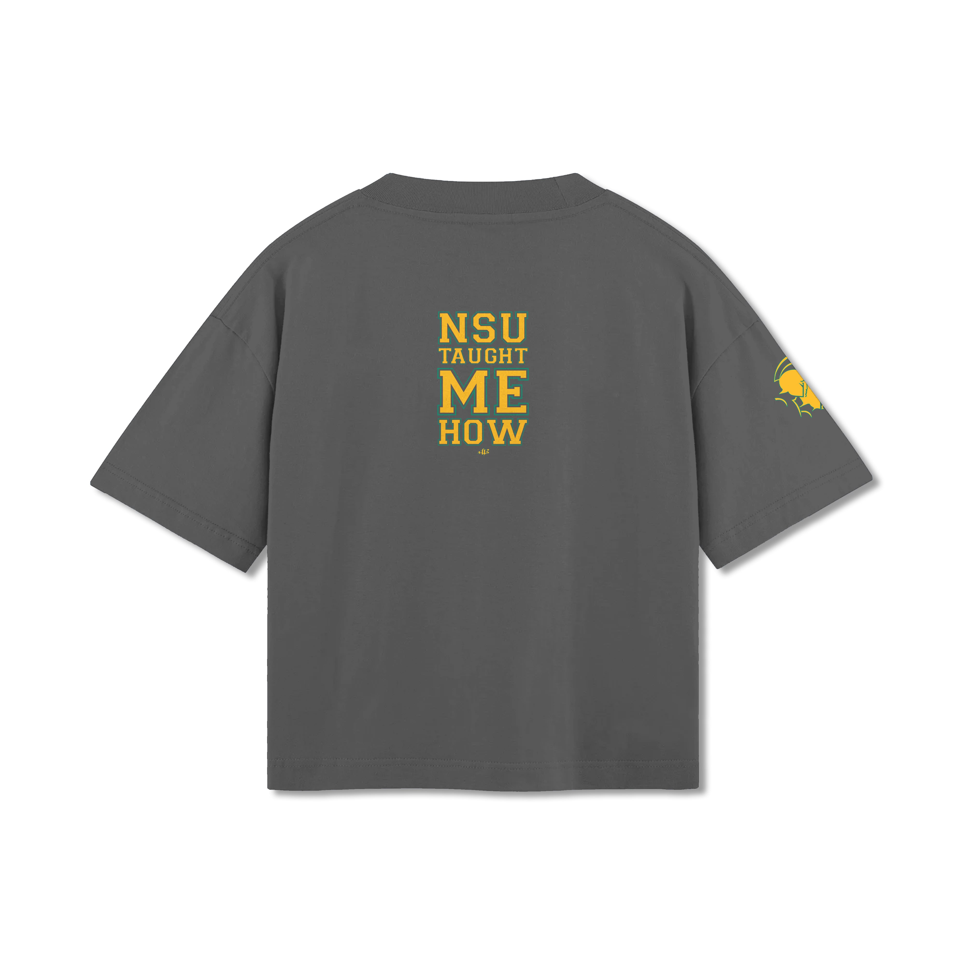 AncientBrand NSU Taught Me How T-Shirt (Grey)